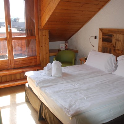 Basic double room