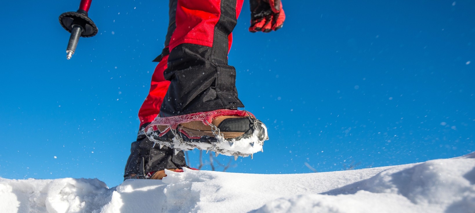 In Trentino with snowshoes