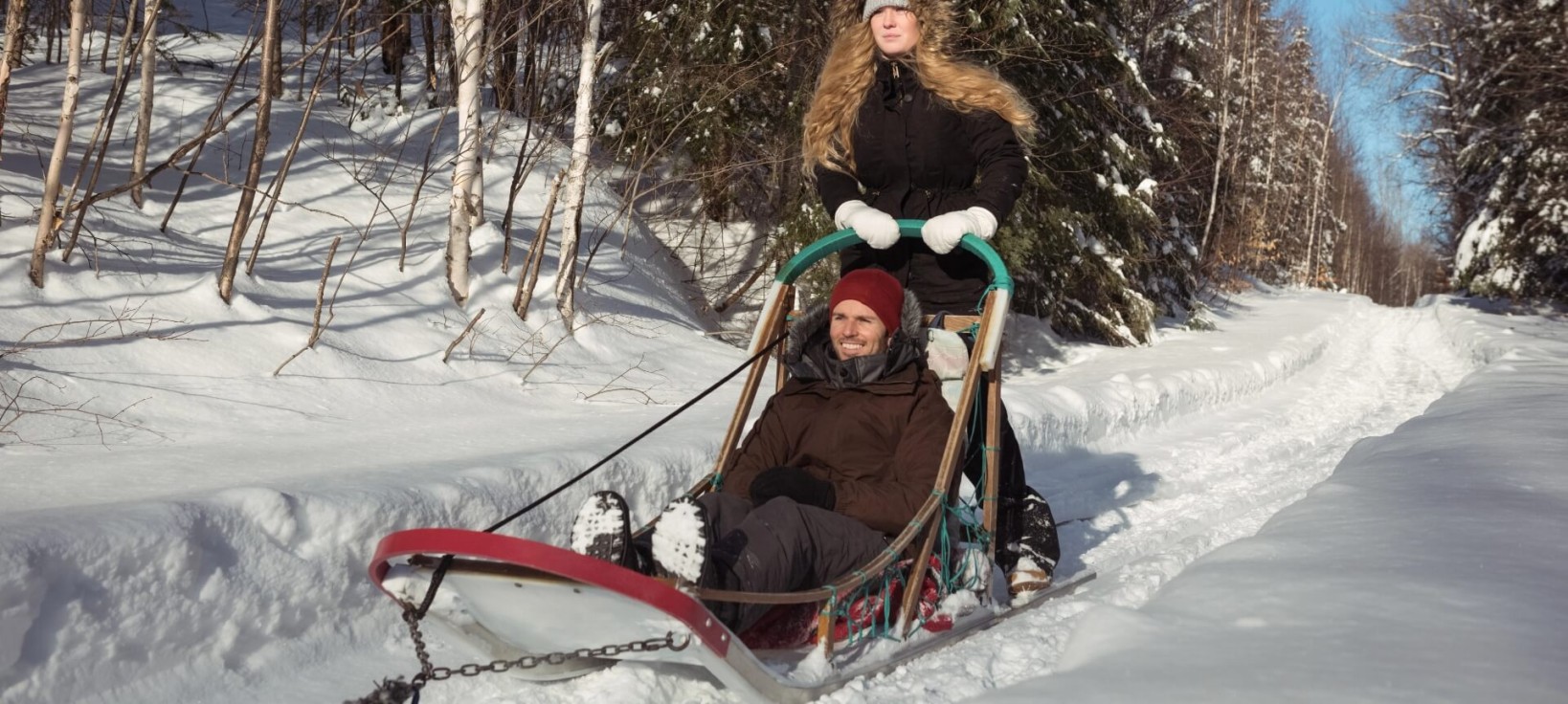 Dog sledding in Trentino