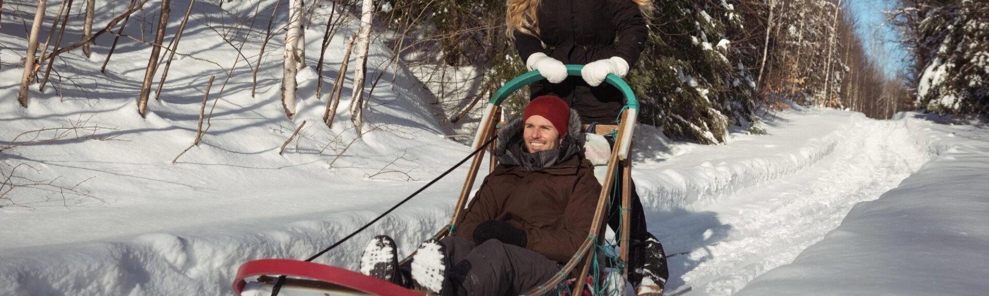 Sleddog in Trentino