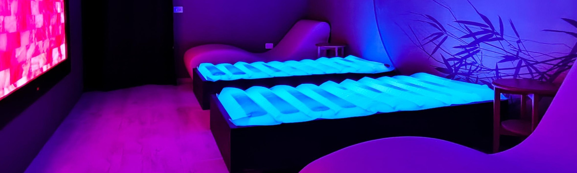 Wellness